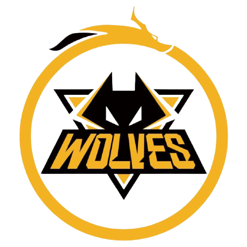 枪手上半场 枪手上半场